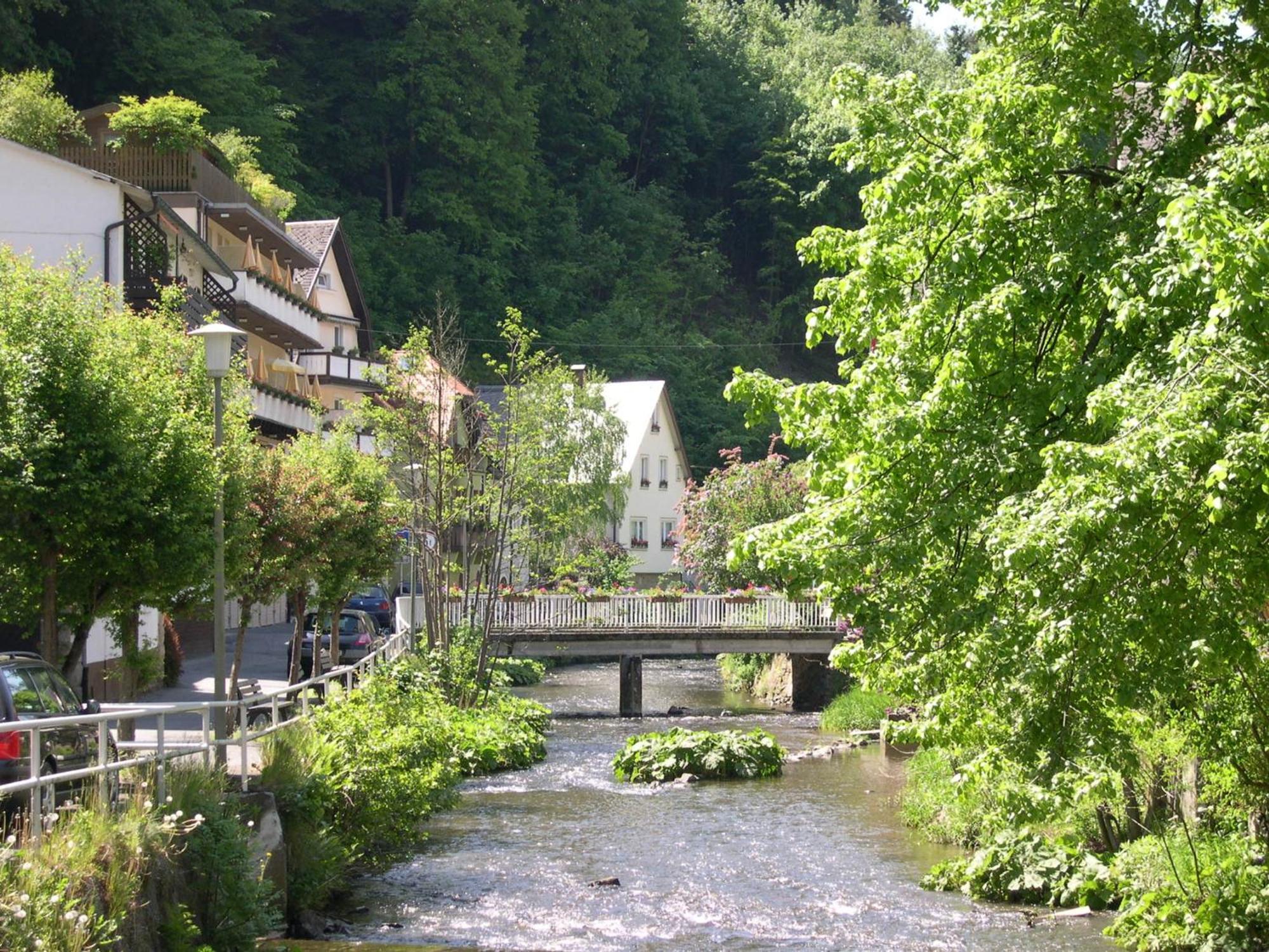 Hotel Heissinger Bad Berneck im Fichtelgebirge Buitenkant foto